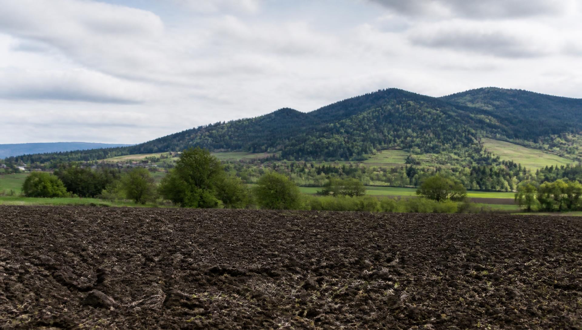 Tilled farmland in Oregon's Willamette Valley under an overcast sky, with wooded hills behind it